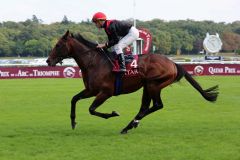 Sommerabend mit Theo Bachelot beim Aufgalopp am 14.09.2014 in Longchamp. Foto: Dr. Jens Fuchs