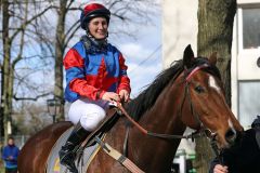 Soryu mit Sarah Scholl nach dem Sieg in Dortmund. www.galoppfoto.de - Stephanie Gruttmann