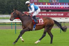 Sosie ist jetzt der Favorit auf den Sieg im Prix de l'Arc de Triomphe. www.galoppfoto.de - Sandra Scherning