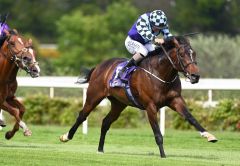 Sprewell bringt sich mit dem Sieg in Leopardstown für größere Aufgaben ins Gespräch. Foto: courtesy by Coolmore