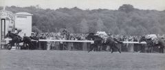 Star Appeal mit Greville Starkey gewinnt überlegen den Prix de l'Arc de Triomphe vor On  My Way und Val de Loir. Foto Archiv