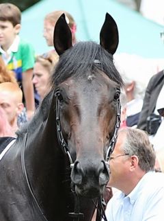 Star Max am 17.6.2018 in Köln - Foto: Dr. Jens Fuchs