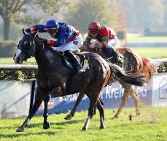 Taron gewinnt am 10.11.2019 in Krefeld - Foto: Dr- Jens Fuchs