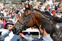 Thought Worthy mit William Buick nach dem Erfolg in den Great Voltigeur Stakes. www.galoppfoto.de - Frank Sorge