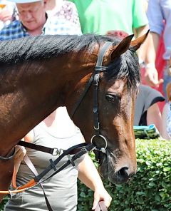 Tina Belle am 3.6.2018 in Baden Baden - Foto: Dr. Jens Fuchs