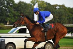 Natürlich heißt die Siegerin im Preis des Gestüts Winterhauch Dancing Sands, die 23:10-Favoritin gewinnt leicht mit Anthony Crastus. Foto: Ursula Stüwe Schmitz