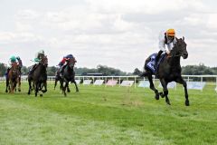 Die Geburtsstunde eines neuen Star: Vadamos gewinnt mit Vincent Cheminaud das Darley Oettingen-Rennen. www.galoppfoto.de - Sabine Brose