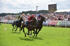 Valdermoro gewinnt die Acomb Stakes gegen Harpocrates. www.galoppfoto.de - JJ Clark