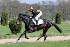 Veneto beim Aufgalopp vor seinem Sieg in Düsseldorf (Foto: Dr. Jens Fuchs)