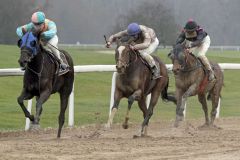 Ventura Kingdom  gewinnt mit Amina Mathony am 16.01.2022 in Dortmund. ©galoppfoto - Stephanie Gruttmann