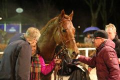 Beginnt das Rennjahr 2015 so wie er das von 2014 beendet hat: Victorious gewinnt mit Alexander Pietsch im Sattel und zur Freude seiner Besitzer vom Stall Manhattan. Foto: Dr. Jens Fuchs