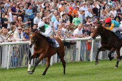 Wai Key Star bringt sich für das Derby ins Gespräch. www.galoppfoto.de - Sarah Bauer