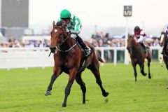 War Command mit Seamus Heffernan ist der Sieger in den Coventry Stakes. www.galoppfoto.de - Frank Sorge