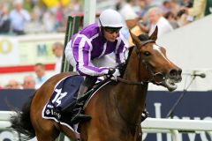 Was: So heißt die Siegerin in den Investec Oaks mit Seamus Heffernan. www.galoppfoto.de - Petr Guth