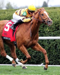 Wise Dan gibt ein erfolgreiches Saisondebut. Keeneland Photo