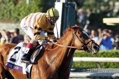 Wise Dan mit John Velazquez als Sieger in der Breeders' Cup Mile 2012. www.galoppfoto.de - Petr Guth