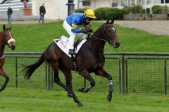 Aufgalopp am 30.04.2016 in Düsseldorf zum überzeugenden Maidensieg (Foto: Dr. Jens Fuchs)