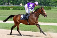 Words of Love mit Filip Minarik beim Aufgalopp in Köln. ©galoppgfoto - Sandra Scherning