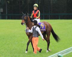 World Ace vor dem Start im Satsuki Sho (2. Platz mit Yuichi Fukunaga). www.shibashuji.com