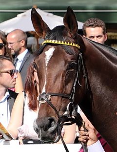 Worth Waiting am 16.9.2018 in Longchamp - Foto: Dr. Jens Fuchs