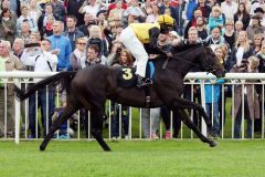 Wurde nach nach dem Vierlängen-Sieg in Hoppegarten doch für das Derby genannt - Gestüt Fährhofs Karpino mit Eduardo Pedroza. www.galoppfoto.de - Frank Sorge