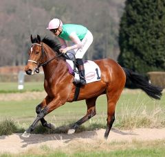 Zargun am 25.03.2018 in Düsseldorf - Foto. Dr. Jens Fuchs