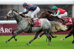 Andrasch Starke am Arc-Samstag: Mit Dux Scholar Zweiter hinter dem Schimmel Zinaaba (Gerald Mosse) im Qatar Prix Daniel Wildenstein. www.galoppfoto.de - John James Clark