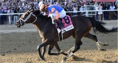 Fierceness setzt sich gegen Thorpedo Anna durch. Foto: NYRA/Chelsea Durand