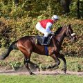 Ajalo mit Stephen Hellyn beim Aufgalopp zum Ratibor-Rennen. Foto: Dr. Jens Fuchs