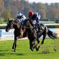 All Summer Long (rechts) gewinnt mit Andrasch Starke in Krefeld am 09.11.2014. Foto Dr. Jens Fuchs