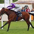 Stellte seine Form vom Auftritt in Haydock Park wieder richtig: Amarillo gewinnt mit Adrie de Vries den Hamburger Flieger-Preis. www.galoppfoto.de - Frank Sorge