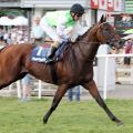 Arabino holt sich mit Wladimir Panov das wertvollste Rennen des Galopp-Meetings in Bad Harzburg. www.galoppfoto.de