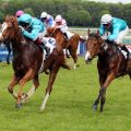 Haller Eins-zwei: Aribeau (li.) gewinnt gegen Pareias Prinz. www.galoppfoto.de - Noe Sorge