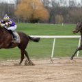 Beetle Star siegt mit Robin Weber vor Numerion  im Ausgleich III beim Finale der Sandbahn-Saison 2019-2020 in Dortmund. www.galoppfoto.de - Stephanie Gruttmann