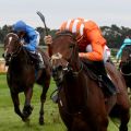 Der 183:10 Aussenseiter Brisanto gewinnt mit Martin Seidl für den Stall Litex und Trainer Miltcho Mintchev überraschend den Preis des Winterfavoriten. www.galoppfoto.de - Sandra Scherning