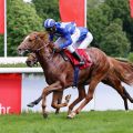 Die beiden Wöhler-Schützlinge und Derbyaspriranten Classic Rock (rechts mit Eduardo Pedroza) und Light Of Air (Jozef Bojko) sind im Dreijährigen-Rennen über 2100 Meter auf den Plätzen 1 und 2. Foto: Dr. Jens Fuchs