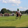 Da sieht man, wie groß der Vorsprung ist ... Christophe Soumillon schon siegessicher, innen kämpfen Lucky Lion, Open Your Heart und Eric um die Plätze. www.galoppfoto.de - Sabine Brose