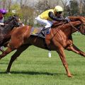 Das sah bedeutend aus: Quasillo gewinnt mit Jose Luis Silverio das Dreijährigen-Rennen über 2.200 Meter und avanciert damit zum Derbyfavoriten bei RaceBets.com. www.galoppfoto.de - Sebastian Höger