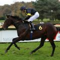 Der Jockey Koen Clijmans reiste für diesen Ritt eigens aus Kuwait an: Der Doyen-Sohn Vif Monsieur gewinnt den Niederrhein-Pokal. Foto: Dr. Jens Fuchs