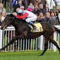 Der Sehrezad-Sohn Millowitsch tendierte wieder ganz nach außen, aber "Hauptsache ist doch, dass er vorne geblieben ist", meinte Jockey Andreas Helfenbein. www.galoppfoto.de  Sarah Bauer 