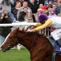 Adrie de Vries steuert Gestüt Park Wiedingens Areion-Tochter Dhaba zum Sieg im Preis der Winterkönigin. www.galoppfoto.de