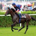 Diplomat beim Aufgalopp mit Adrie de Vries am 05.07.2015 in Hamburg. Foto: Dr. Jens Fuchs