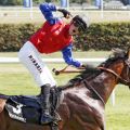 Drin das Ding : Alson mit Filip Minarik gewinnt das Zukunftsrennen. www.galoppfoto.de - Sabine Brose