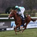 Dynamic Lips gewinnt das erste Dreijährigenrennen der Saison auf Gras für Andreas Löwe (Foto: Dr. Jens Fuchs)