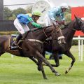 Der 4. Sieg in Folge: El Donno (rechts) mit Olga Laznovska gewinnt bei der Großen Woche in Baden-Baden 2018. www.galoppfoto.de - Sarah Bauer