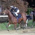 Gamgoom bei seinem Neusser Sieg am 11.01.2015 mit Andre Best im Sattel - zugleich der 2000. Sieg für Trainer Mario Hofer. Foto: Dr. Jens Fuchs