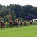 Meldet sich vom Derby (16.) zurück in der Maidenklasse und gewinnt hoch überlegen mit acht Längen: Gestüt Ebbeslohs Giant's Cauldon mit Adrie de Vries. Foto: Dr. Jens Fuchs