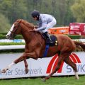 Graasten stürmt mit Andrasch Starke in Krefeld zum Sieg. Foto: Dr. Jens Fuchs