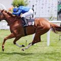 Die Anreise aus Frankreich hat sich gelohnt: Half Light gewinnt mit Soufiane Saadi den Sparkasse Holstein-Cup. www.galoppfoto.de - Sabine Brose