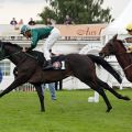 Ungewöhnlicher Weg ins Derby: Buzzy mit Milos Milojevic gewinnt zum Auftakt der Derby-Woche. www.galoppfoto.de - Sabine Brose